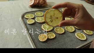 🍋레몬 말리는법 ,리큅 IR D5 식품건조기(+말린레몬으로 물우려마시기)