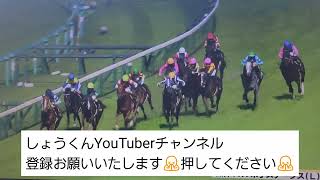 今日の動画は阪神11レース米子ステークス芝父ディープ産駒ラインベック結果チャンネル登録お願いいたします🙏押してください🙏