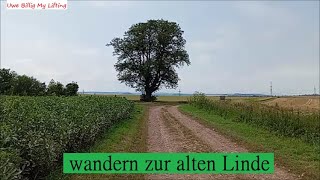 Uwe Billig My Lifting -wandern zur alten Linde