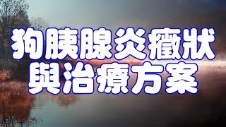 狗胰腺炎癥狀與治療方案