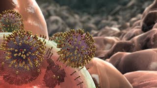 Influenza Animation