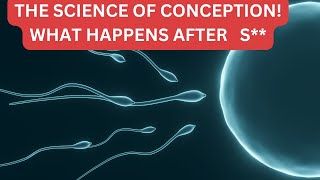 What Actually Happens After Sex? (Shocking Process from Conception to Baby)