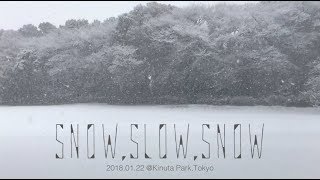 東京に大雪が降りました(slow ver.)_A heavy snow fell in Tokyo(slow ver.)_2018.1.22