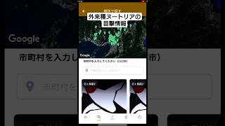 【野生動物報告】大阪府で増える外来種ヌートリアの目撃情報 #shorts