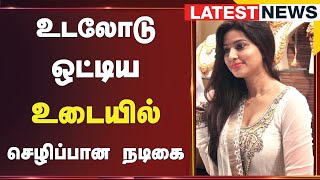 உடலோடு ஒட்டிய உடையில் செழிப்பான நடிகை | Sneha | TamilNews