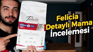 Felicia Kedi Maması İncelemesi (YETİŞKİN KEDİ MAMASI YORUMLARI)