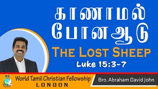 Lost Sheep- காணாமல் போன ஆடு- Luke 15:3-7