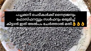 പച്ചക്കറി ചെടികൾക്ക് നൈട്രജനും ഫോസ്ഫറസ്  സൾഫറും പെട്ടെന്ന് കിട്ടാൻ ഇത് 10ഗ്രാം ചേർത്താൽ മതി👌👌👌