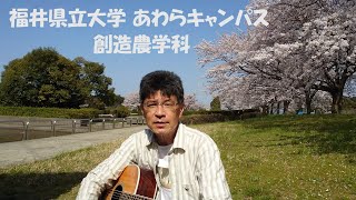 「丘を渡る風」K. MURAI：福井県立大学あわらキャンパス創造農学科