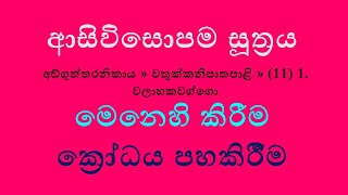 ආසිවිසොපම සූත්‍රය මෙනෙහි කිරීම - ක්‍රෝධය asivisopama sutta contemplation