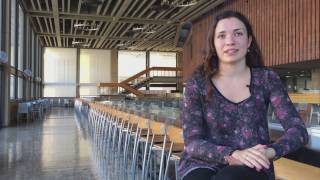 UC Berkeley Students Talk About Living in the Bay Area