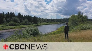 Remembering the days when New Brunswick's Salmon River had salmon