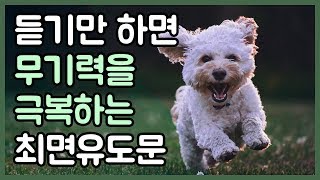 듣기만 하면 무기력을 극복하는 최면유도문