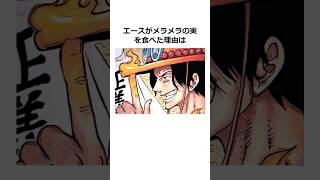 エースに関する雑学【ワンピース】#shorts #onepiece #雑学