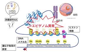 腫瘍生物学