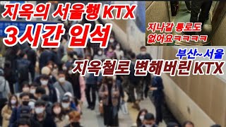 (3시간입석)지옥철로 변해버린 KTX에서 살아남기ㅋㅋㅋ 하......