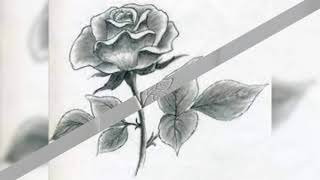 Easy Rose drawings#Rose#Drawings#DiyPrincessSupreme