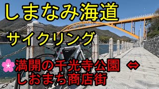 しまなみ海道サイクリング・尾道千光寺公園⇔瀬戸田しおまち商店街