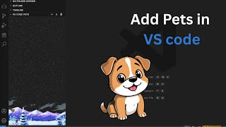 How to add Pets and theme in VS code editor.