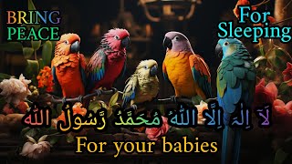 La ilaha illallah Muhammadur Rasulullah Naat & Beautiful Babies for Sleeping | Poem for babys