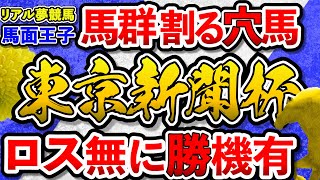 【東京新聞杯】2023　馬群割る穴馬！瞬発力　ロス無しなら勝機有り！　3頭目探し　この二頭　新年一発目！　#東京新聞杯　#競馬　#競馬予想