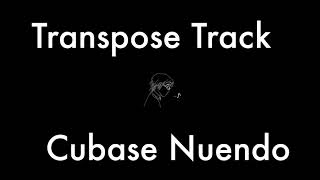 [큐베이스 누엔도] cubase, nuendo 에서 Transpose Track 트랜스포즈 트랙 사용하기