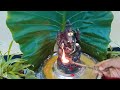 ganesha abhishekam at home ganapathi ganesh chaturthi shri ganesha abhishekam at home prema