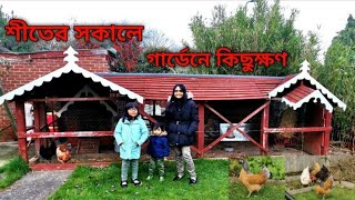 chicken in the garden | Shoker bagan 2021 | আমার শখের বাগান | amar shoker bagan