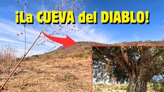 ¡Increíble! La cueva encantada que desaparece frente a tus ojos