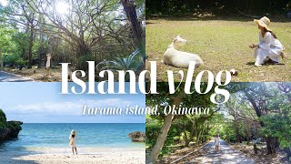 【沖縄離島Vlog🏝️】日本で最も美しい村、多良間島に行ってきた🥰🐐