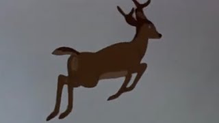 BAMBI GETS SHOT (SHORT)