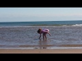 tentsmuir forest in the water collecting shells fall