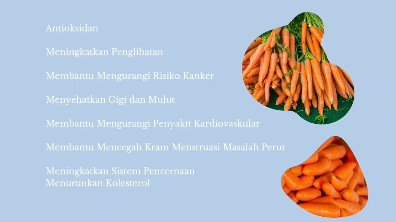 Tugas P5 Kelompok 4 Manfaat Dan Kandungan Wortel - YouTube