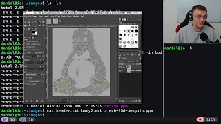 Visualizing Encryption: The ECB Penguin