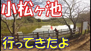 小松ヶ池公園行ったら大物釣れてびっくりしました。