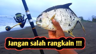 Begini rangkaian mancing ikan gatho pompano ukuran sedang