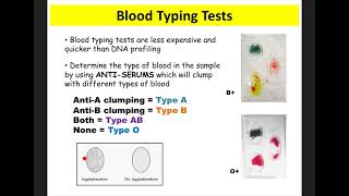 Blood Basics Notes Forensics