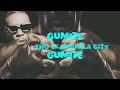 Bad Sparksy - GUMITE (Official Lyric Video)