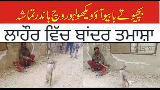 بچیو تے بابیو آو ویکھو لہور وچ باندر تماشہ ਲਾਹੌਰ ਵਿੱਚ ਬਾਂਦਰ ਤਮਾਸ਼ਾ  APNA PUNJAB 7