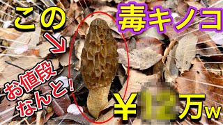 【絶品】キモい毒キノコを美味しく食べる方法