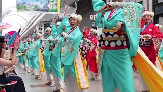 高知よさこい祭り2019本祭 1日目 帯筋 ほにや