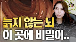 늙지 않는 뇌를 위해서는 이곳을 관리하세요 (손유리 뇌건강 주치의)