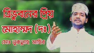 Tri vuboner prio Muhammad | ত্রিভুবনের প্রিয় মুহাম্মদ | Nurullah Mahir | Bangla Islamic Song