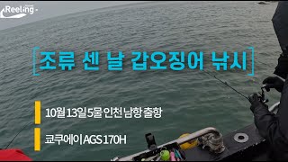 조류 센 날 갑오징어 낚시 - 운영, 채비, 로드, 액션