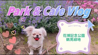 【犬カフェVlog】花博記念公園鶴見緑地のバラ園に行ったよ！