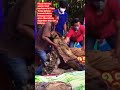 Ritual Ma'nene adalah ritual tradisional di Tana Toraja