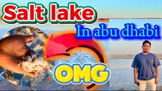 Salt Lake In Abu dhabi | Tourist Spot In UAE