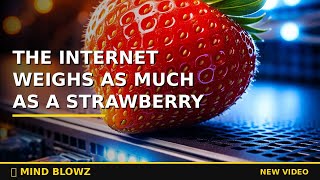 The Entire Internet Weighs As Much As A Strawberry! 🍓