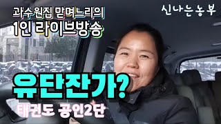 과수원집 맏며느리의 1인라이브방송/그때그시절