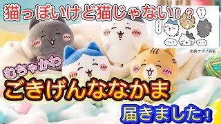 【ちいかわ】さっき届いた賑やかな仲間たち！ハチワレとごきげんななかま紹介！【グッズ紹介】